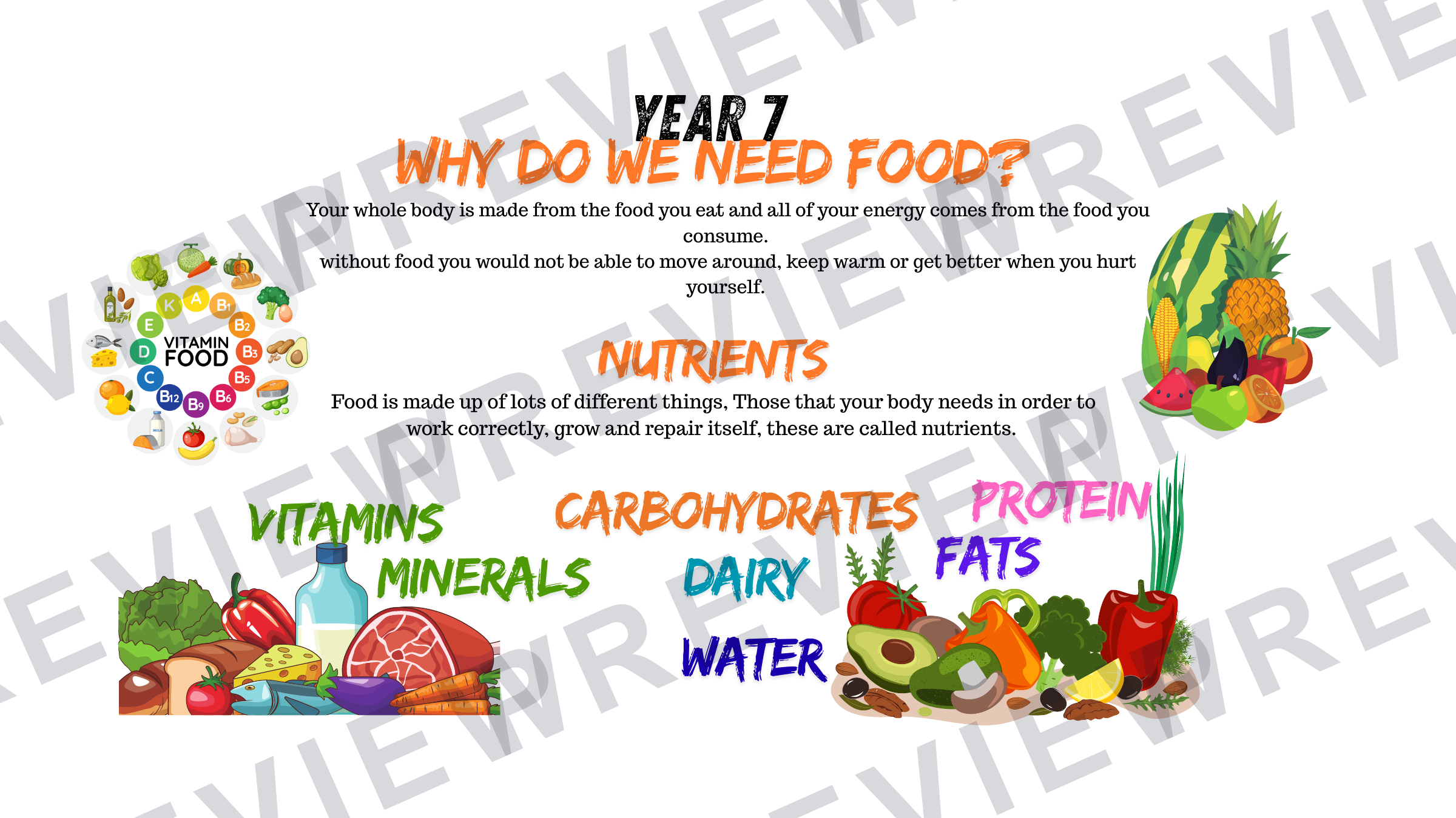 Year 7 healthy eating powerpoint fibre focus  preview page 2