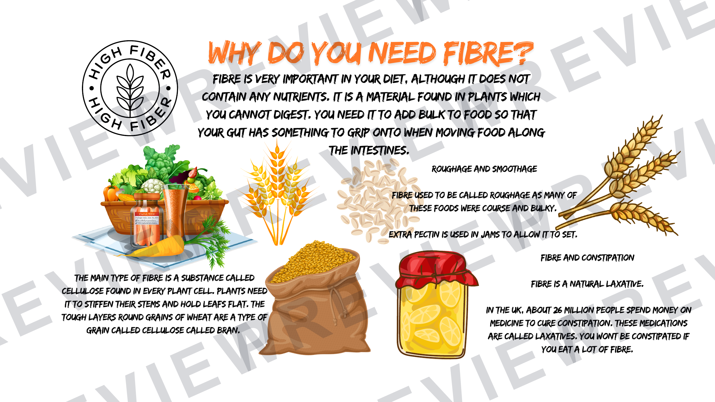 Year 7 healthy eating powerpoint fibre focus  preview page 3