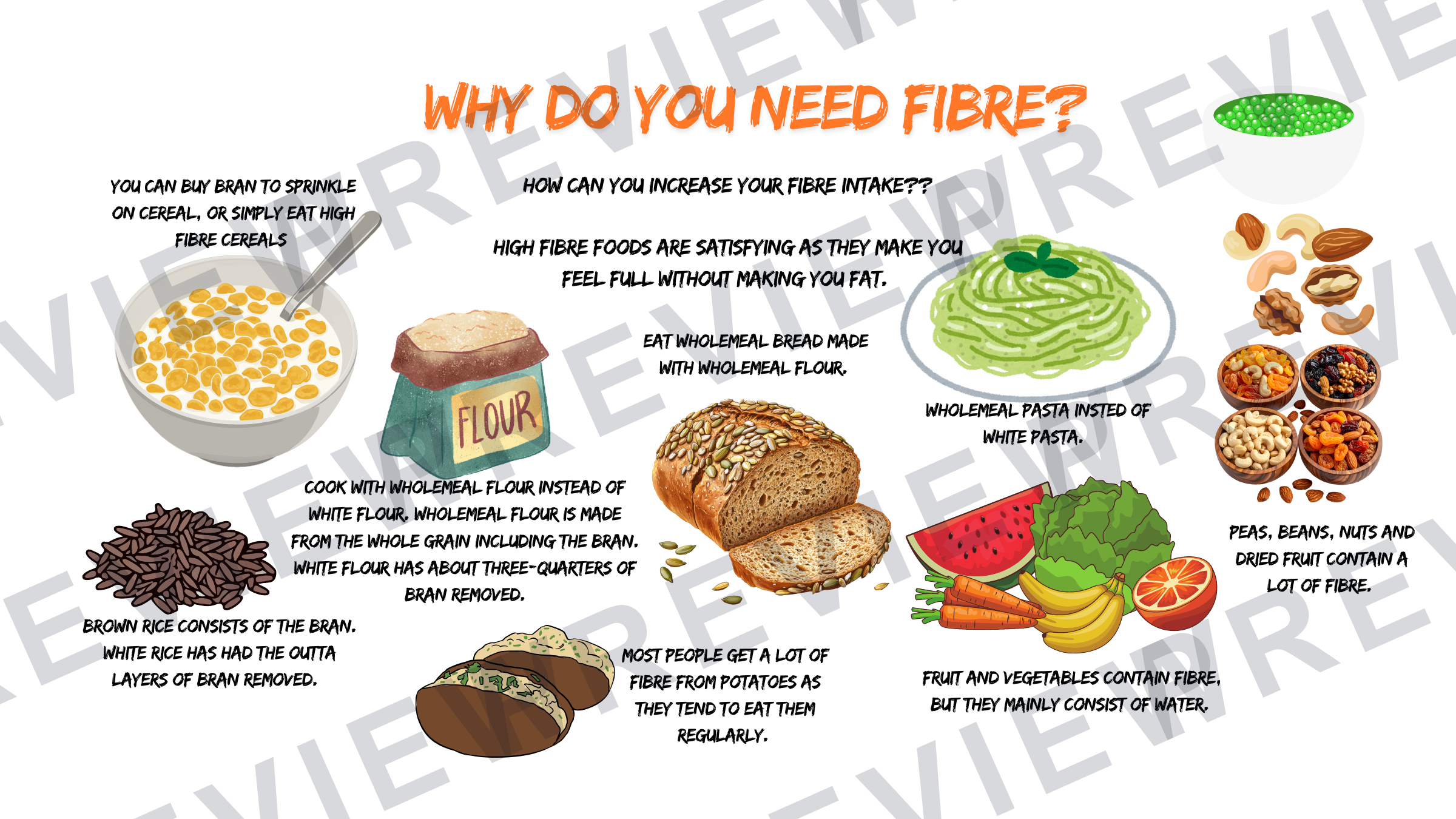 Year 7 healthy eating powerpoint fibre focus  preview page 4