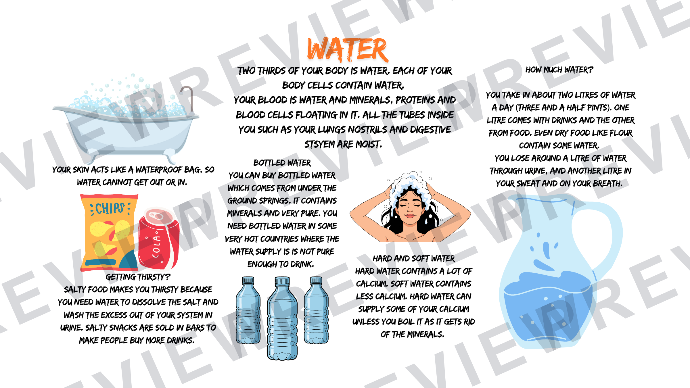 Year 7 healthy eating powerpoint fibre focus  preview page 5