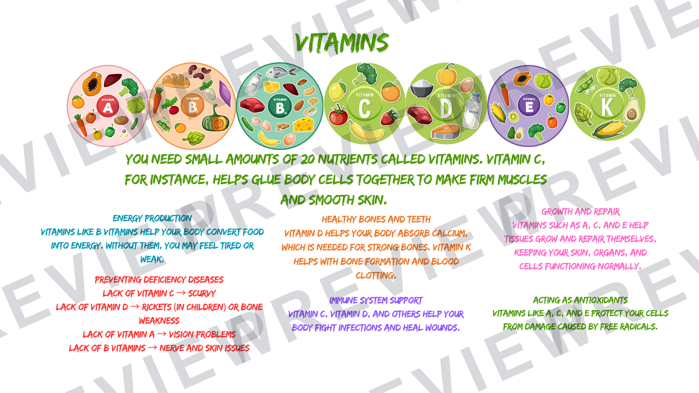 Year 7 healthy eating and diets collection vitamins  preview page 3