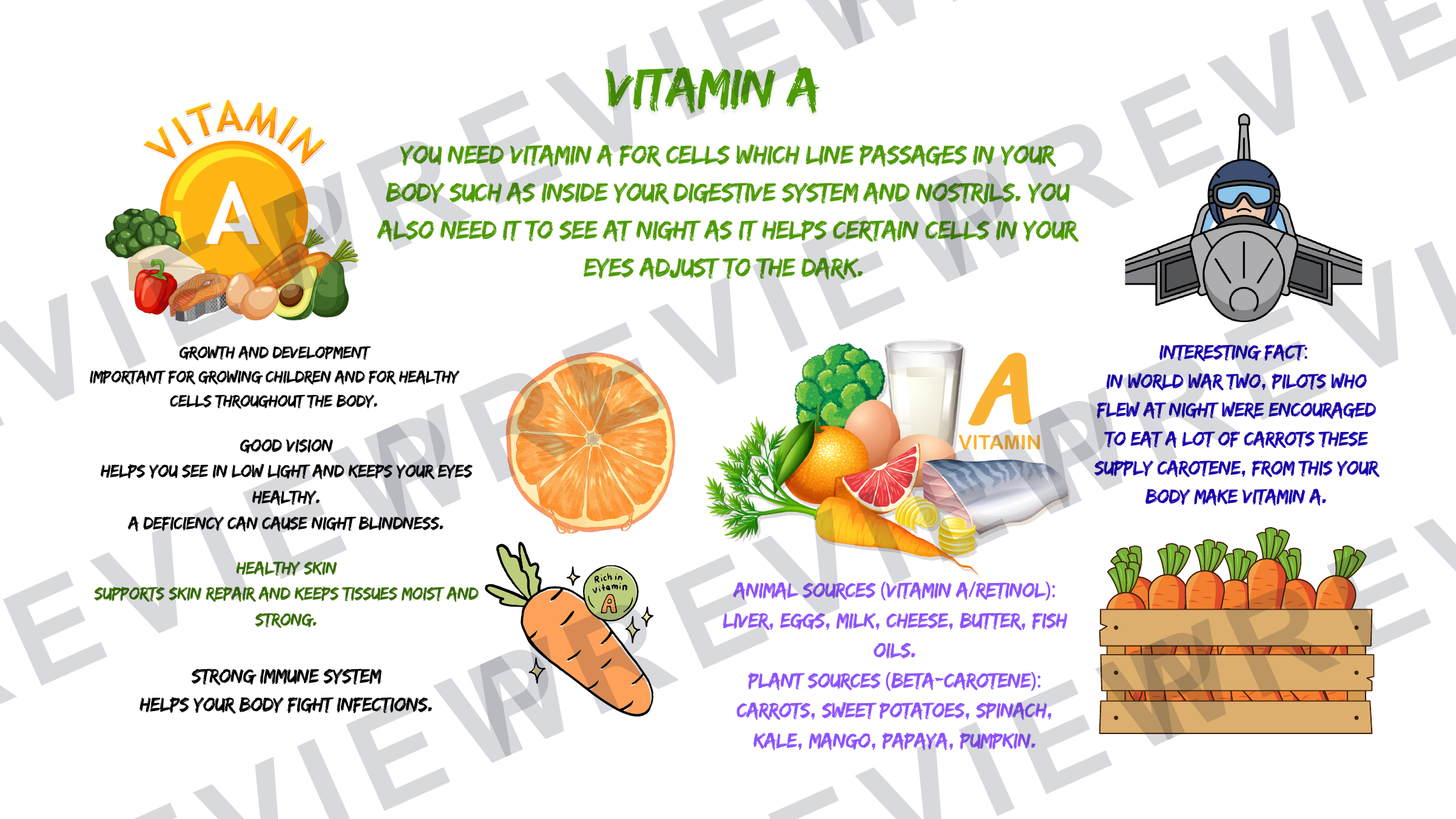 Year 7 healthy eating and diets collection vitamins  preview page 4