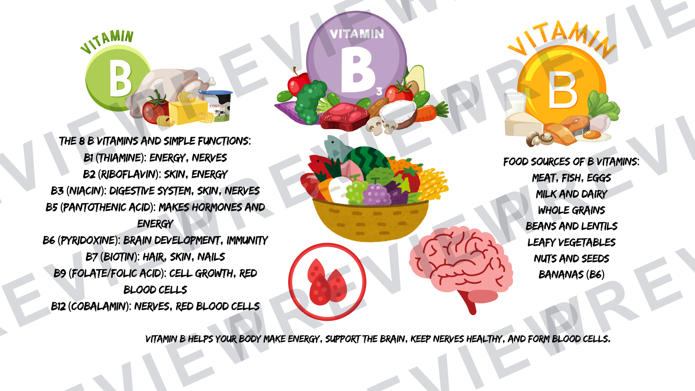 Year 7 healthy eating and diets collection vitamins  preview page 8