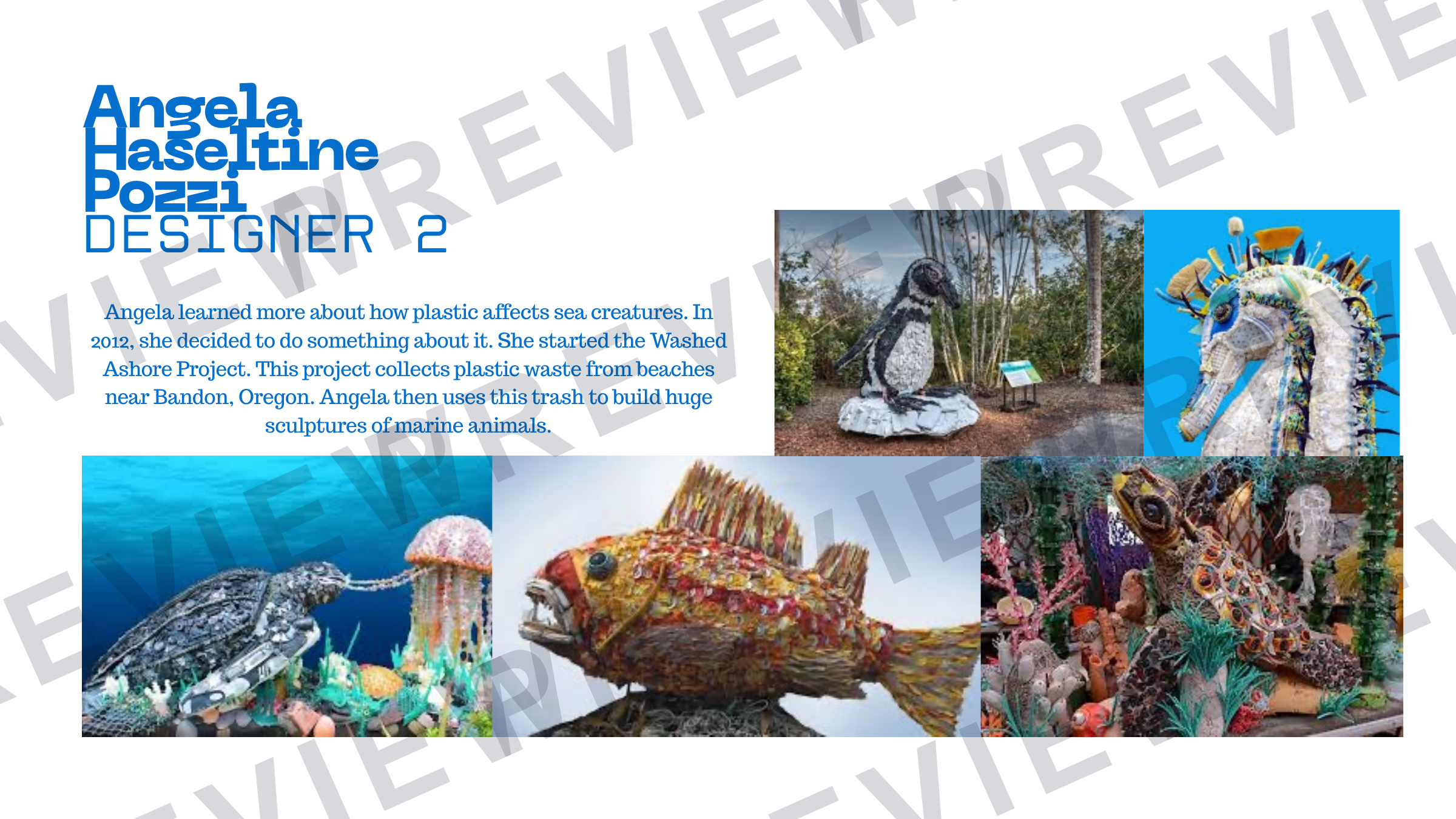 Plastics in the ocean PPT Ks3/4 companion to workbook preview page 12