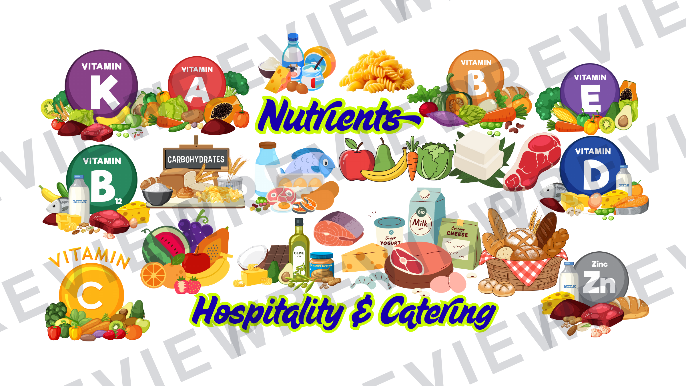Hospitality posters and infographics KS3/KS4 display  preview page 5