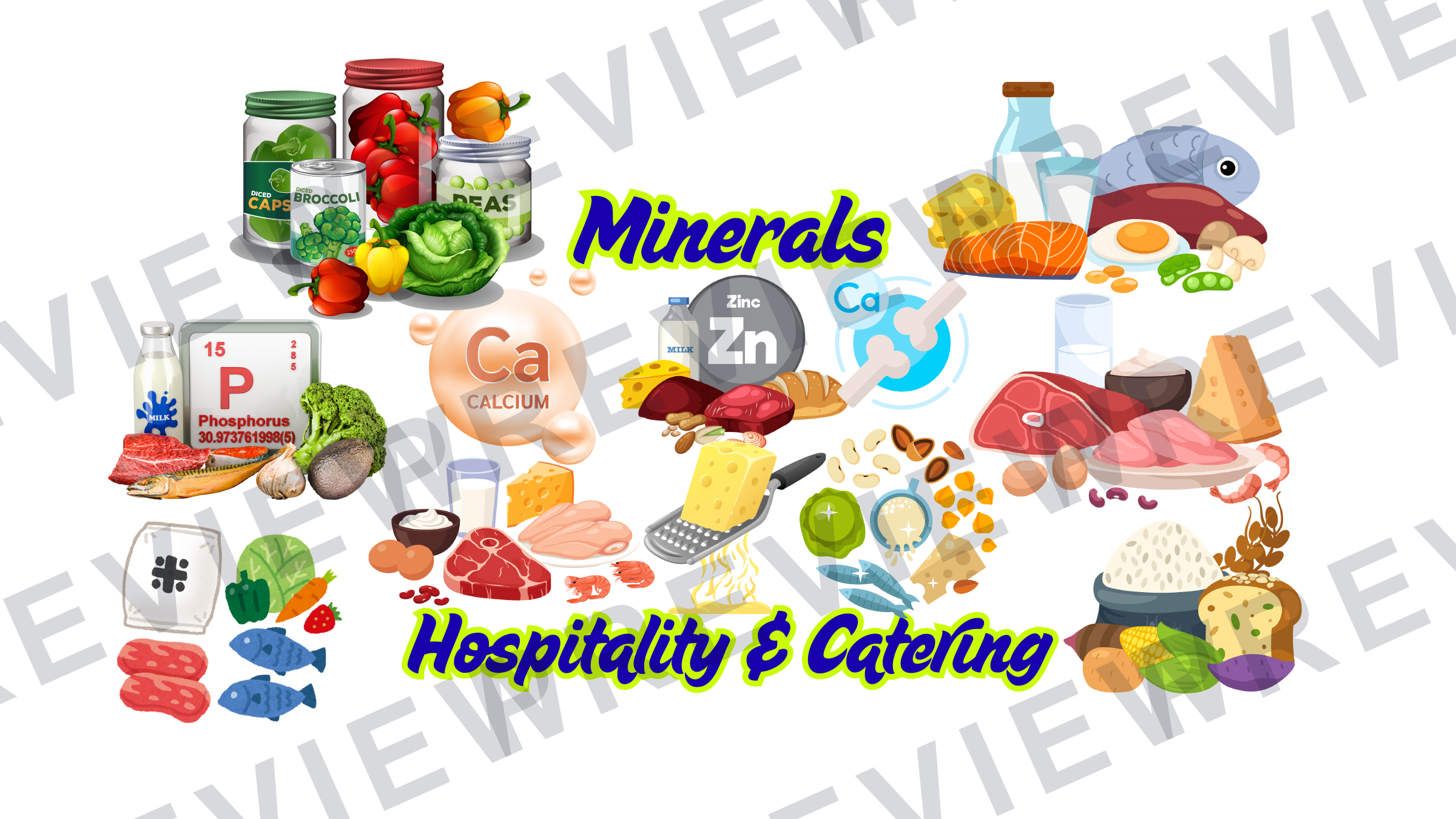 Hospitality posters and infographics KS3/KS4 display  preview page 6