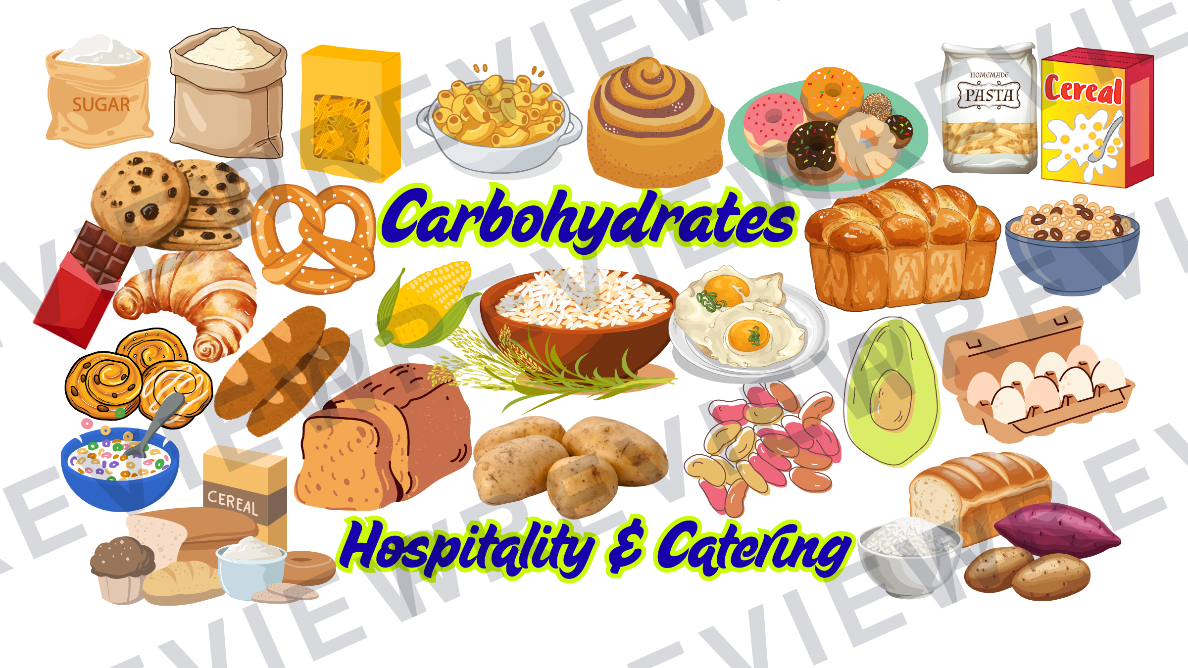 Hospitality posters and infographics KS3/KS4 display  preview page 8