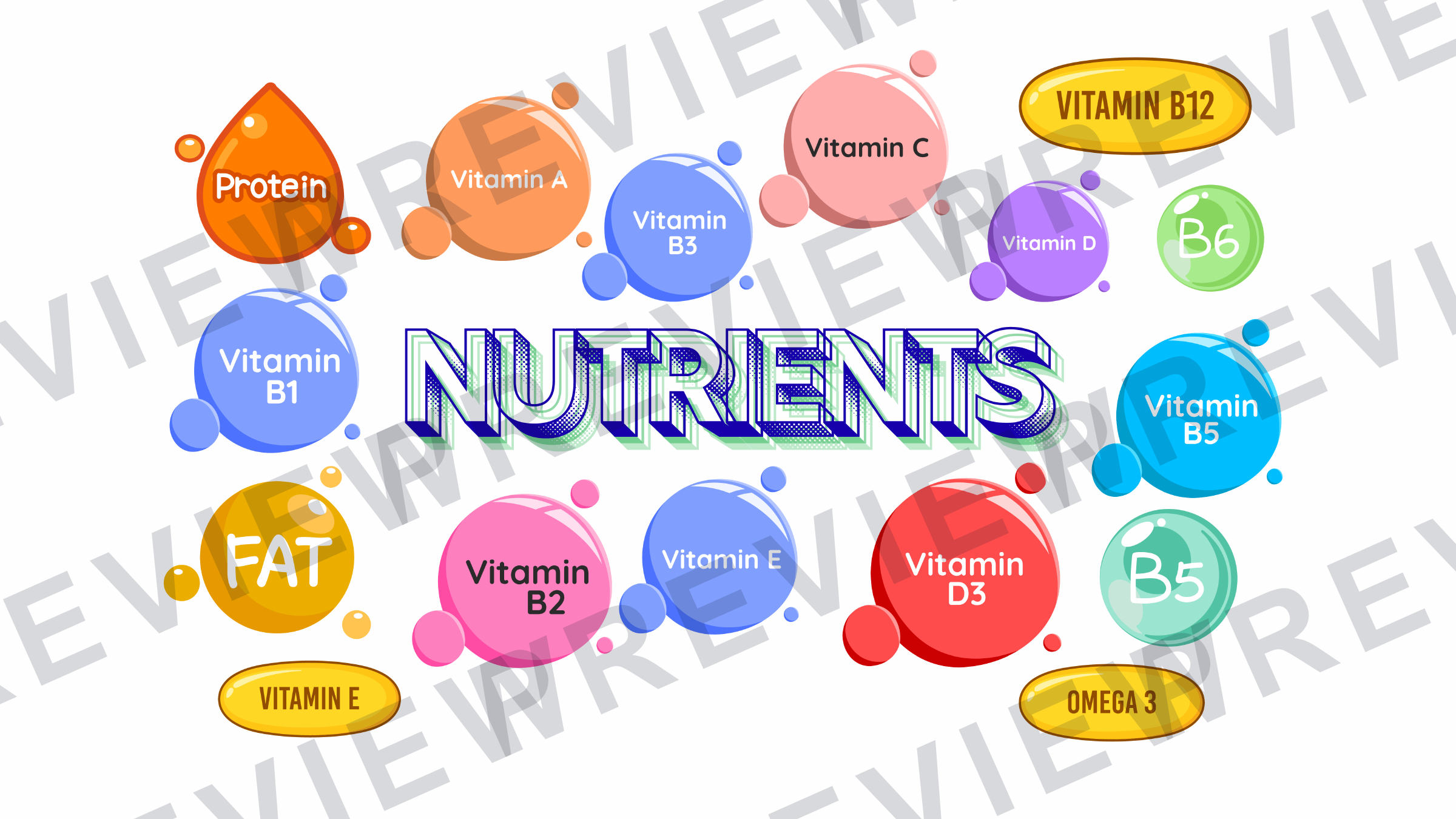 Nutrients meal display for classrooms  preview page 1