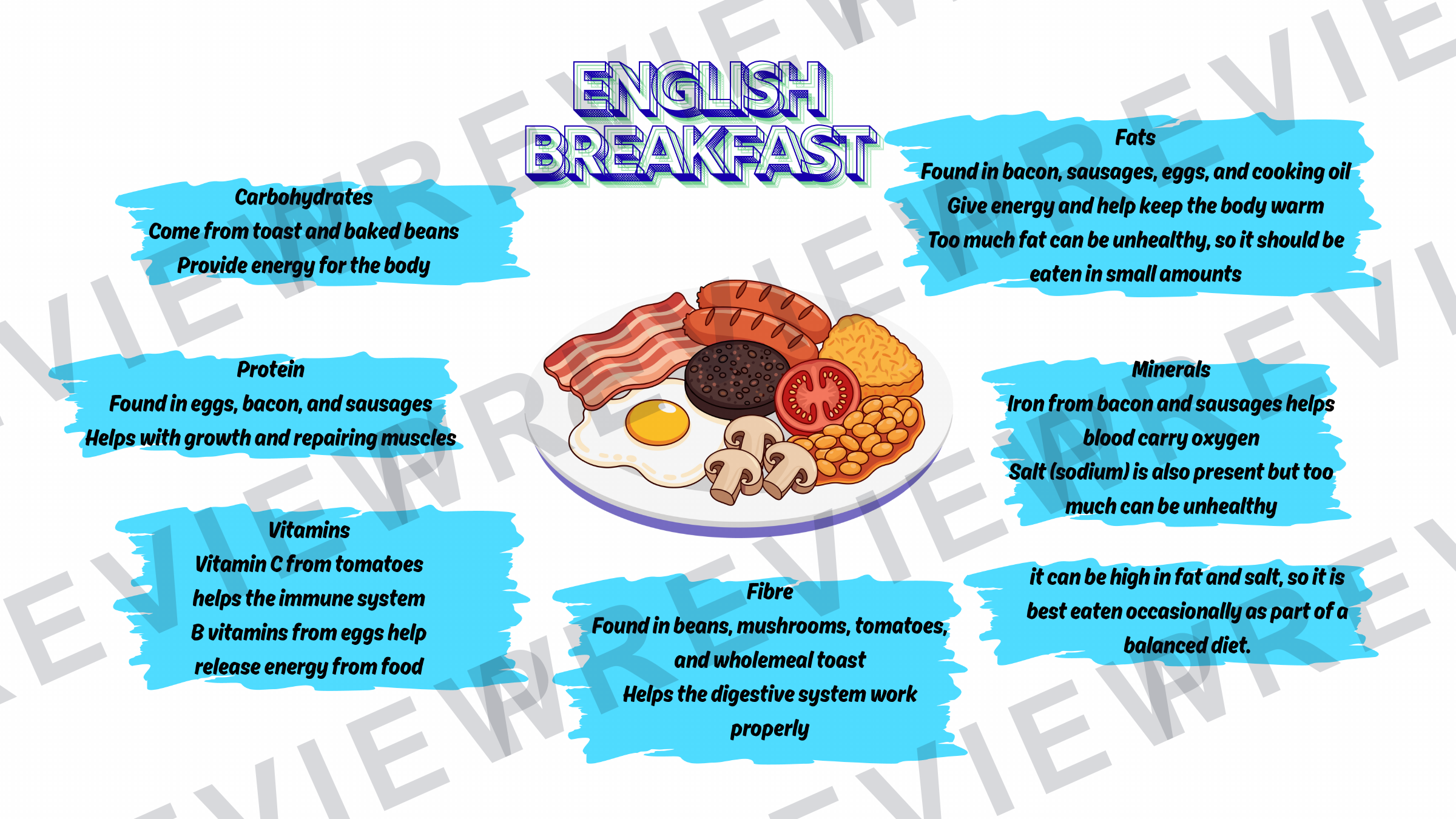 Nutrients meal display for classrooms  preview page 3