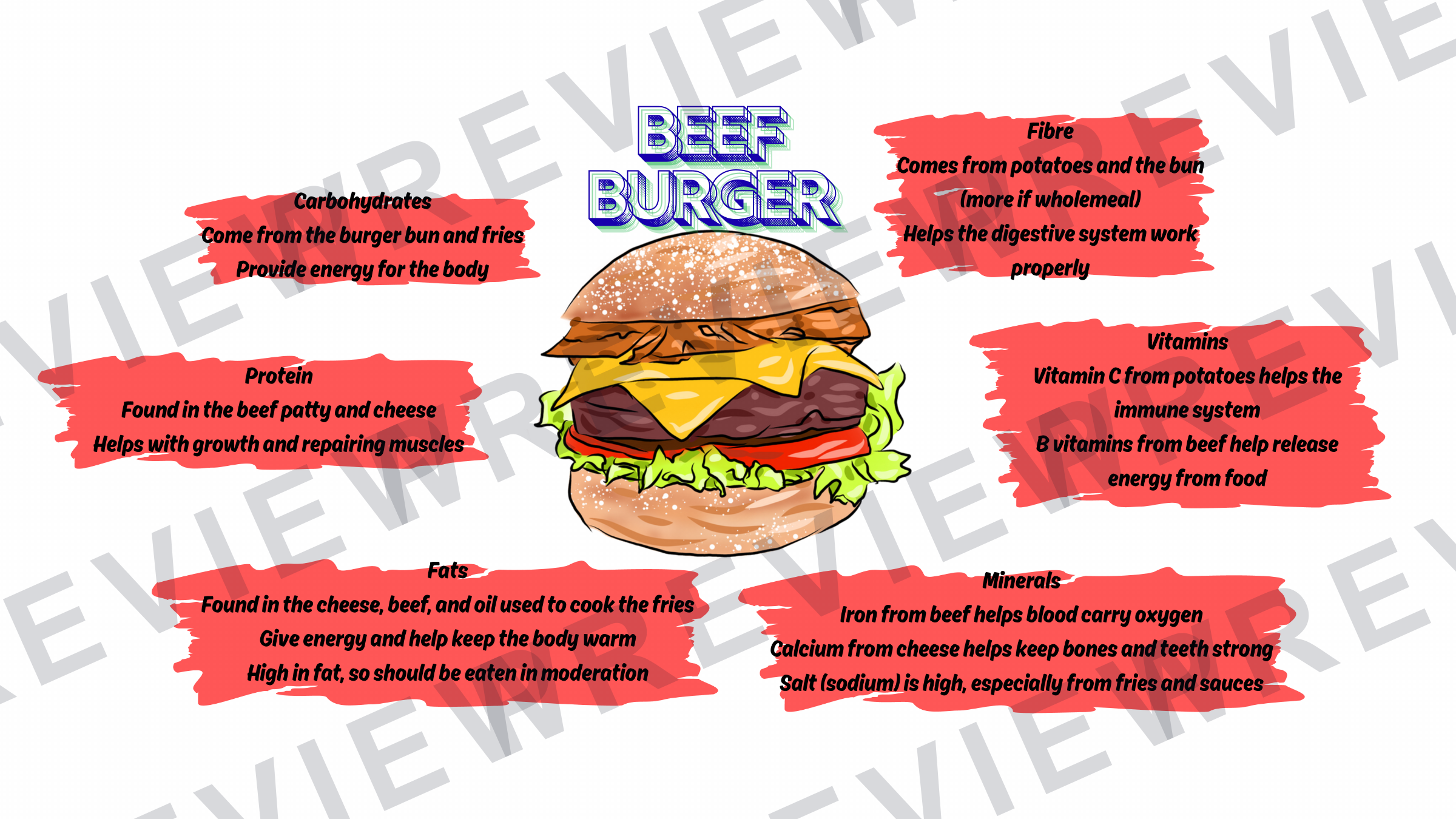 Nutrients meal display for classrooms  preview page 12