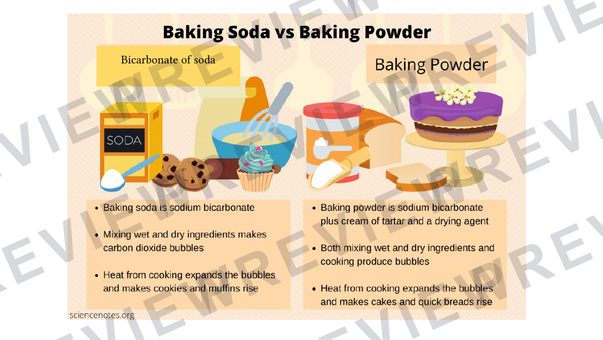 Cake making science lesson rising agent focus  preview page 12