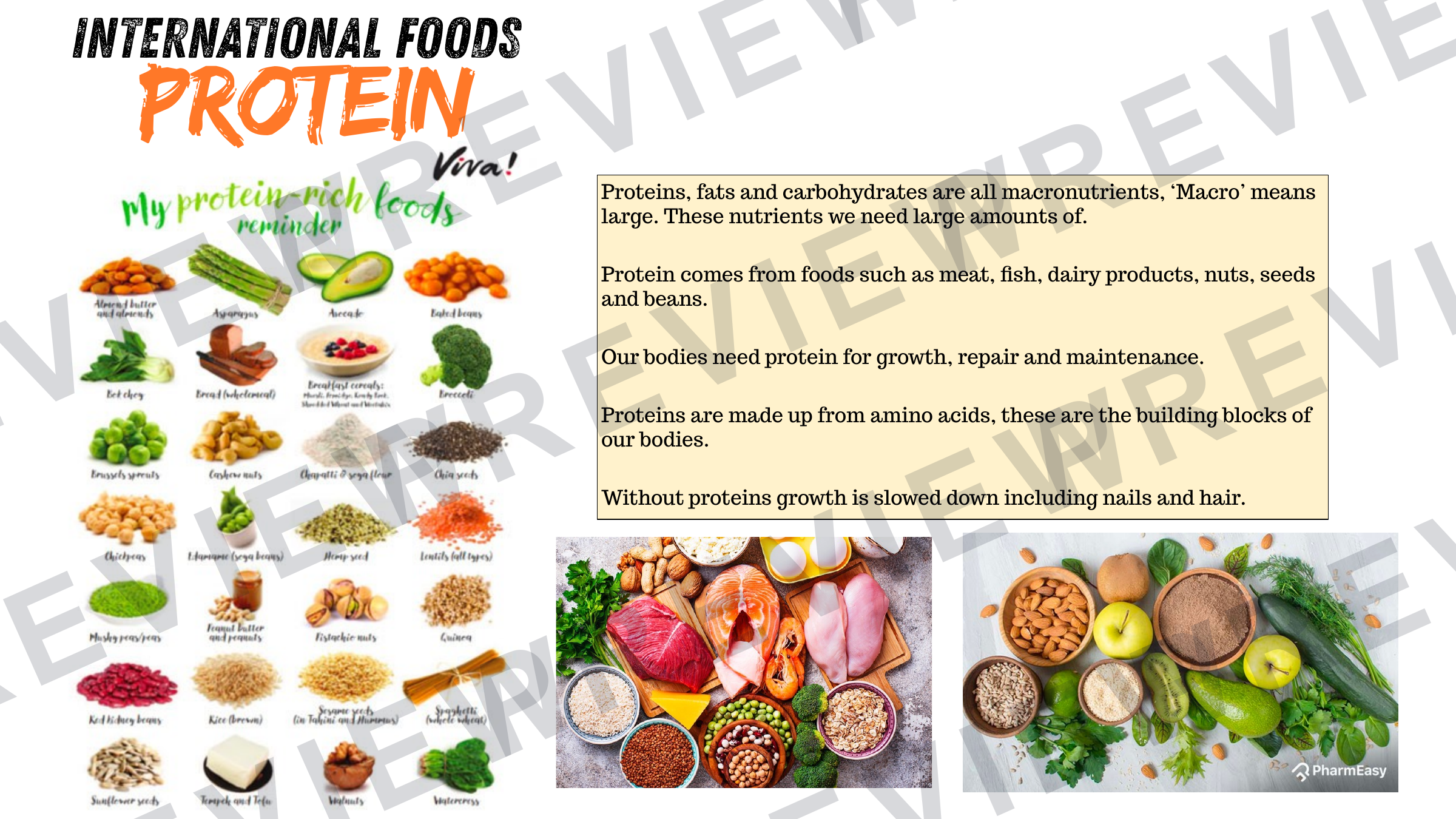 Year 8 international cuisine booklet updated  preview page 17