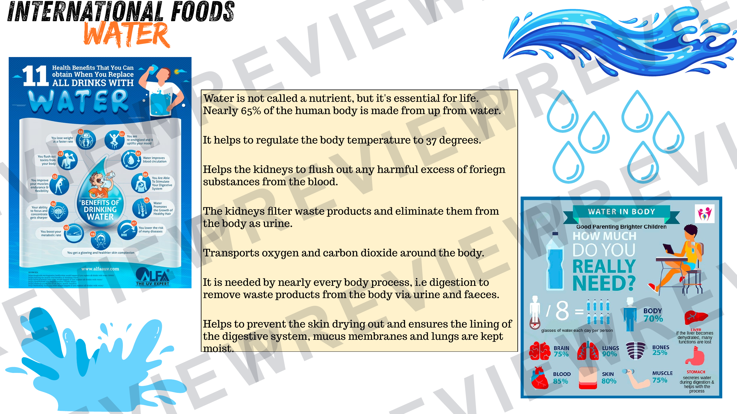 Year 8 international cuisine booklet updated  preview page 20