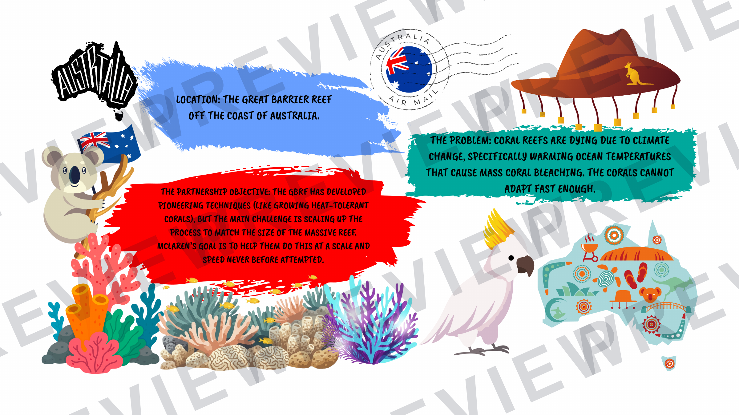 Year 5-7 Plastics in the ocean project powerpoint  preview page 5