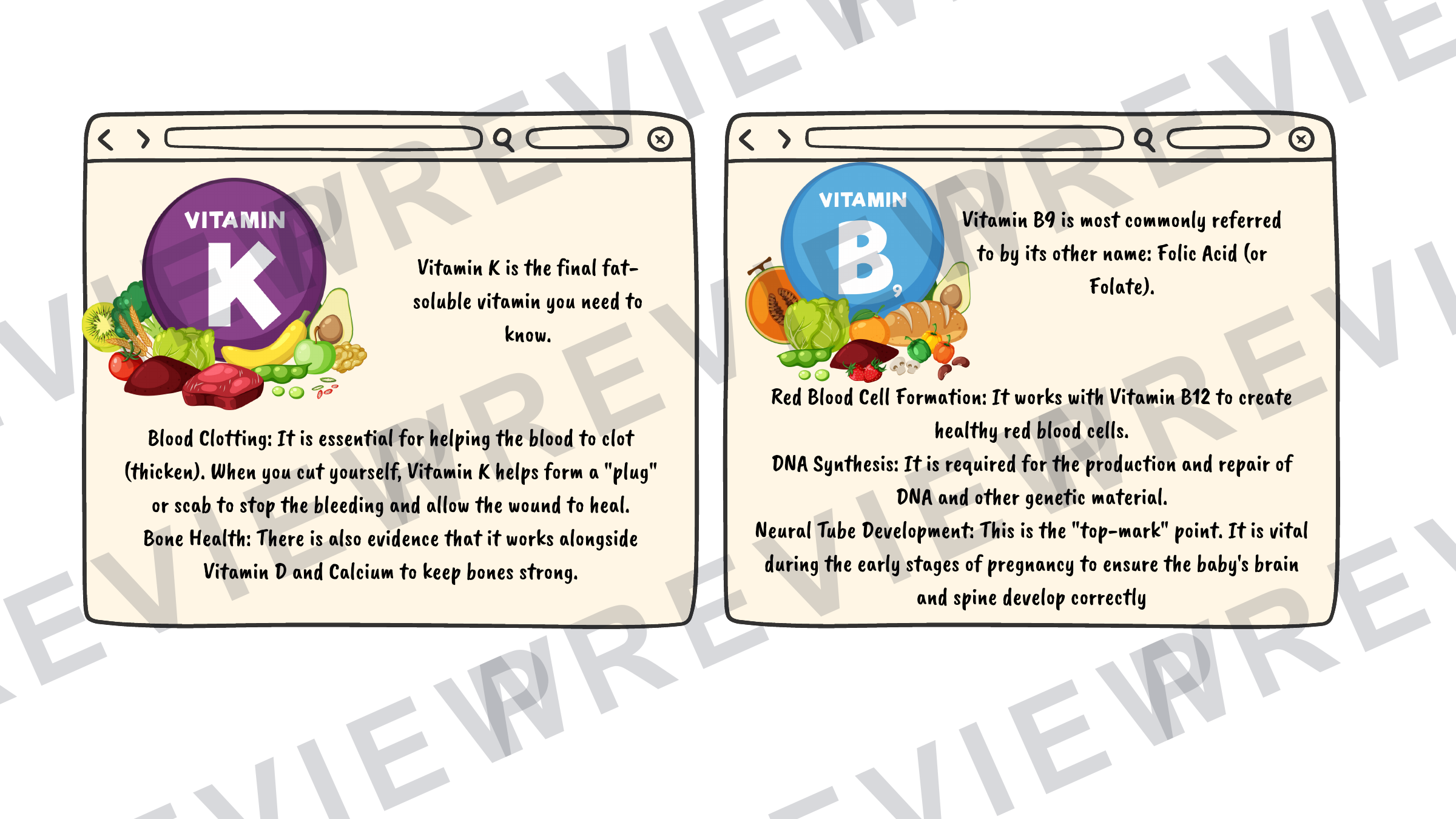 Hospitality revision cards GCSE vitamins/unsatisfactory intake (A6 size) preview page 3