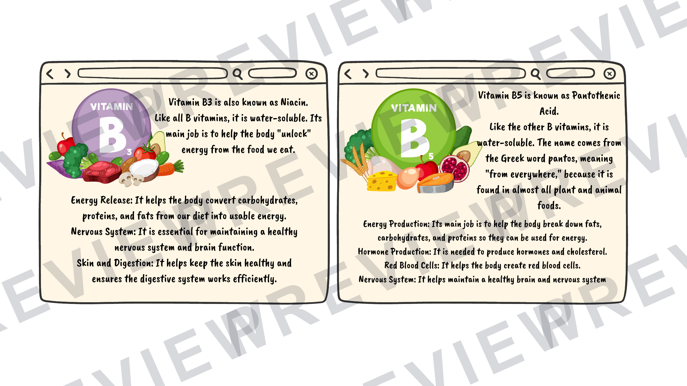 Hospitality revision cards GCSE vitamins/unsatisfactory intake (A6 size) preview page 4