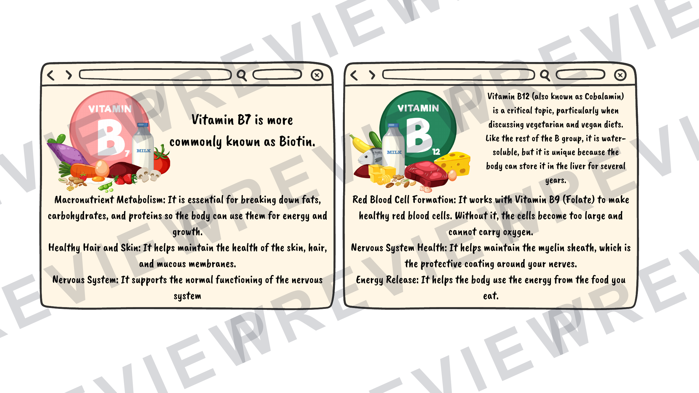 Hospitality revision cards GCSE vitamins/unsatisfactory intake (A6 size) preview page 5