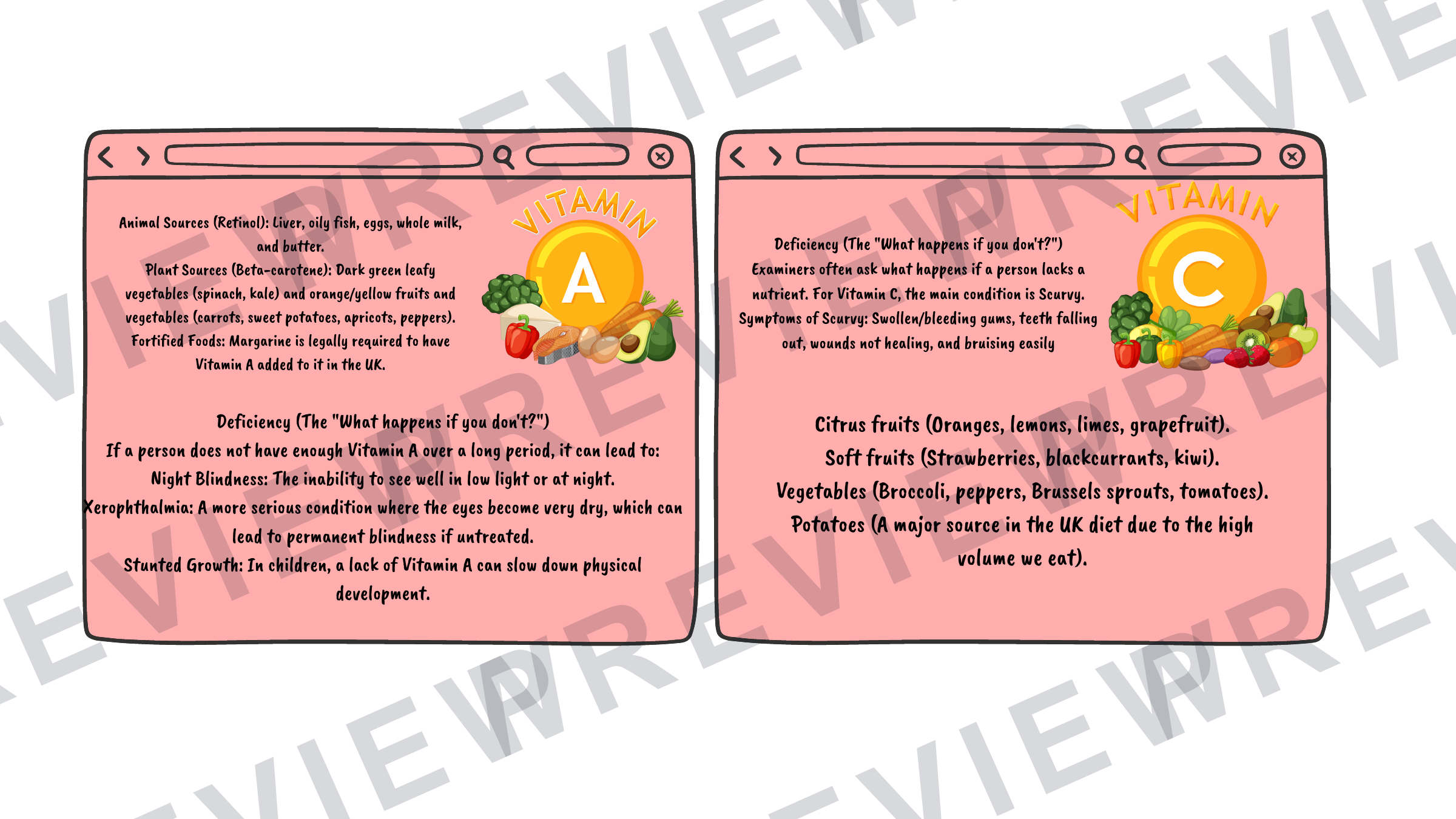 Hospitality revision cards GCSE vitamins/unsatisfactory intake (A6 size) preview page 6