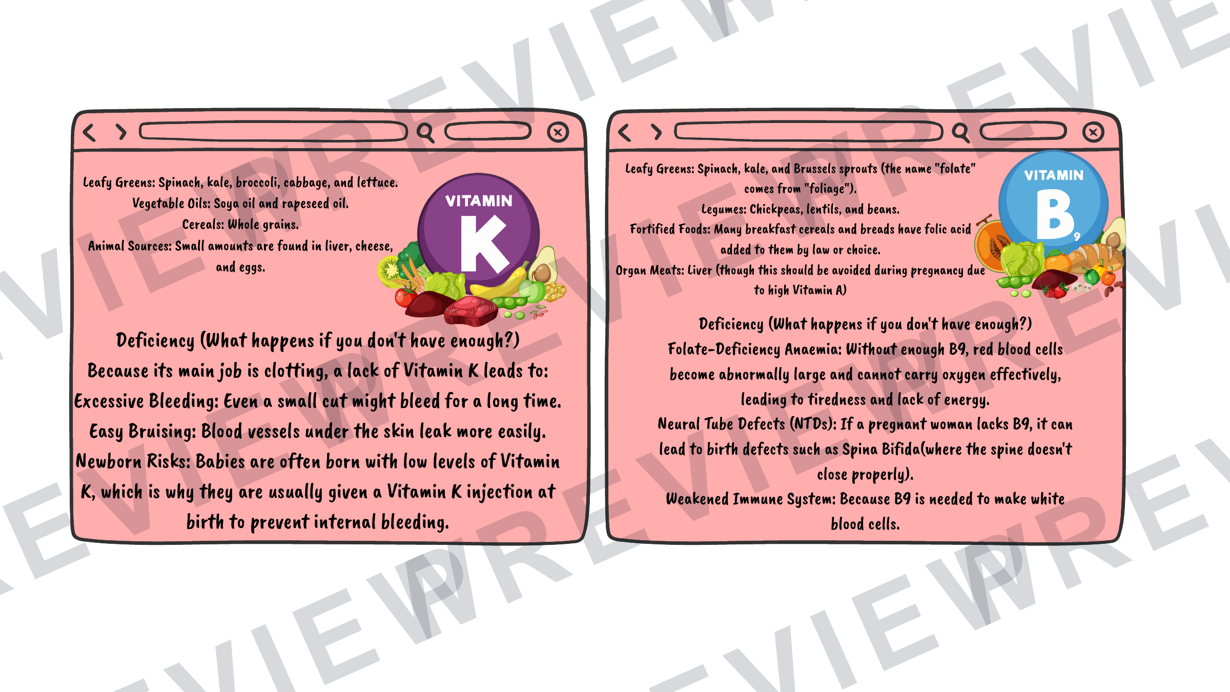 Hospitality revision cards GCSE vitamins/unsatisfactory intake (A6 size) preview page 8
