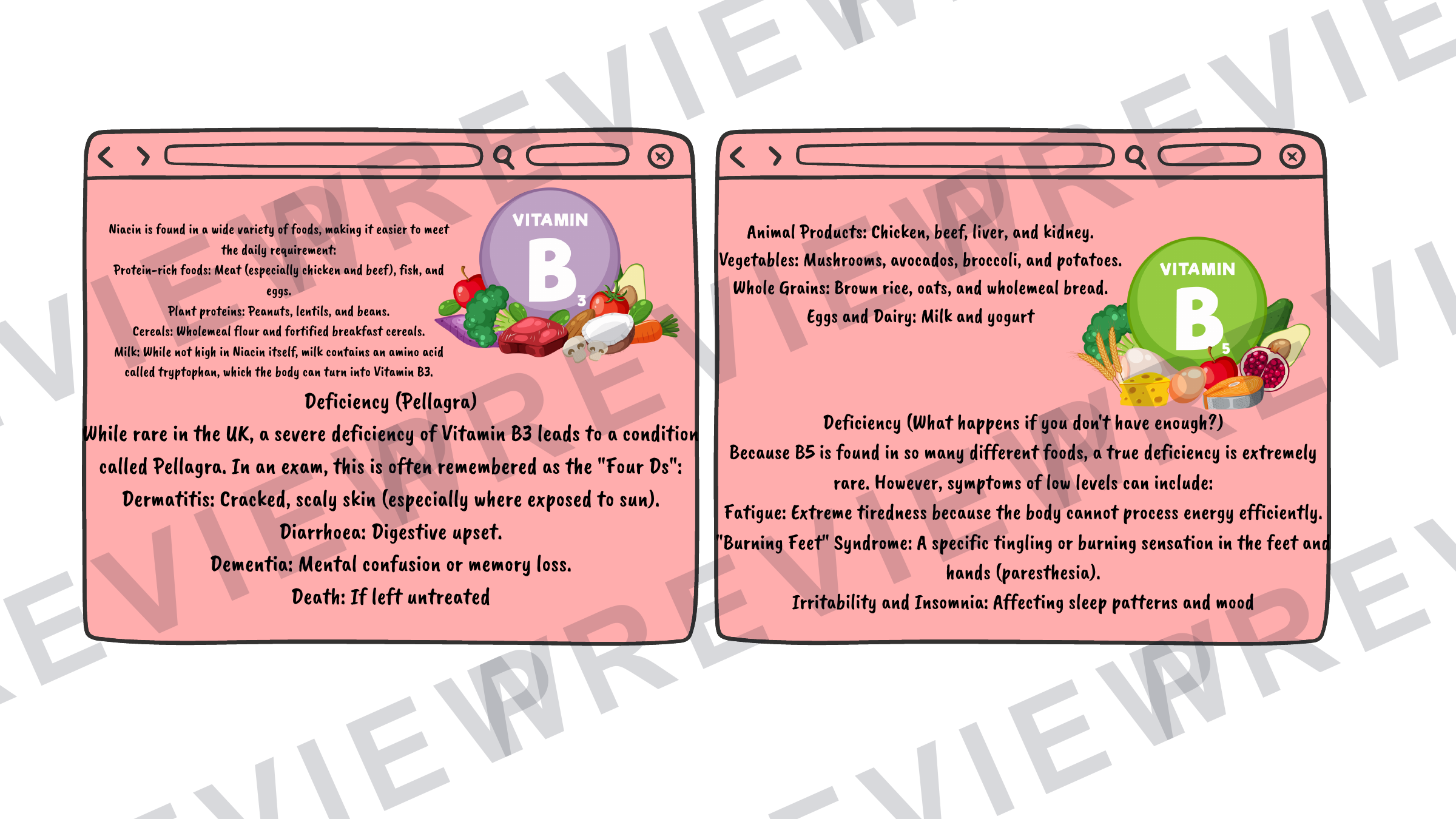 Hospitality revision cards GCSE vitamins/unsatisfactory intake (A6 size) preview page 9