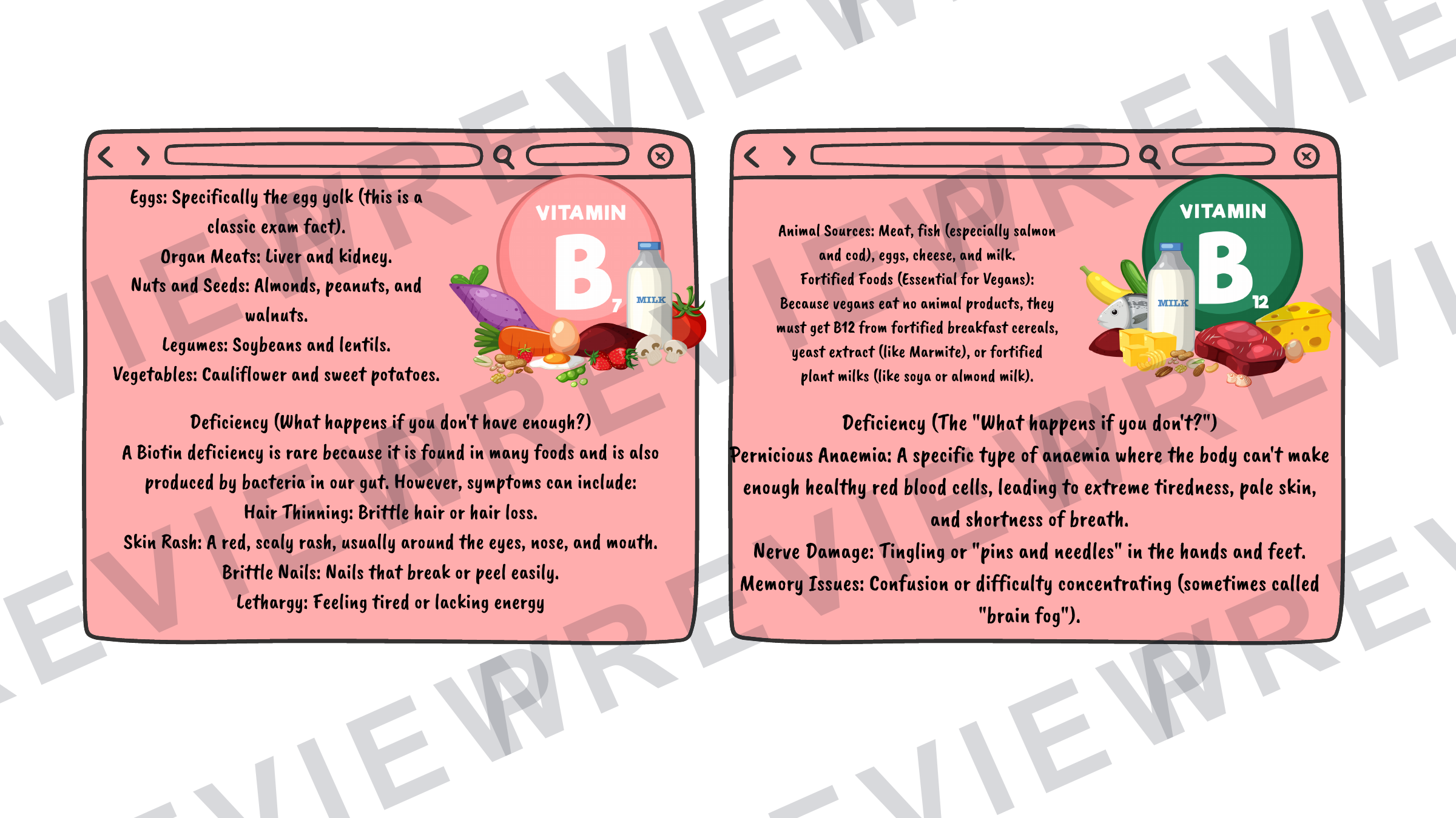 Hospitality revision cards GCSE vitamins/unsatisfactory intake (A6 size) preview page 10