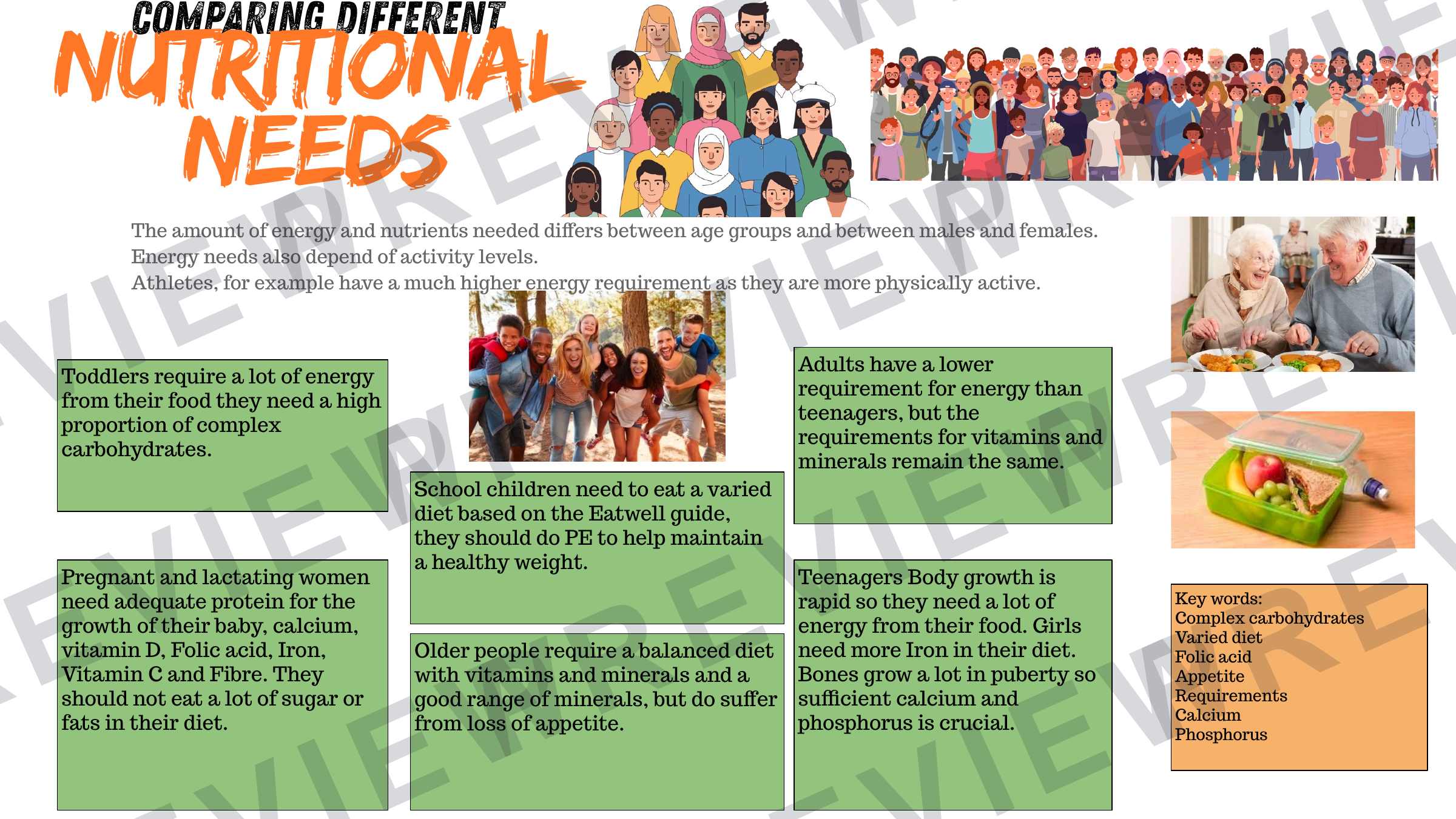 Year 7 healthy eating project part 2 powerpoint   preview page 17