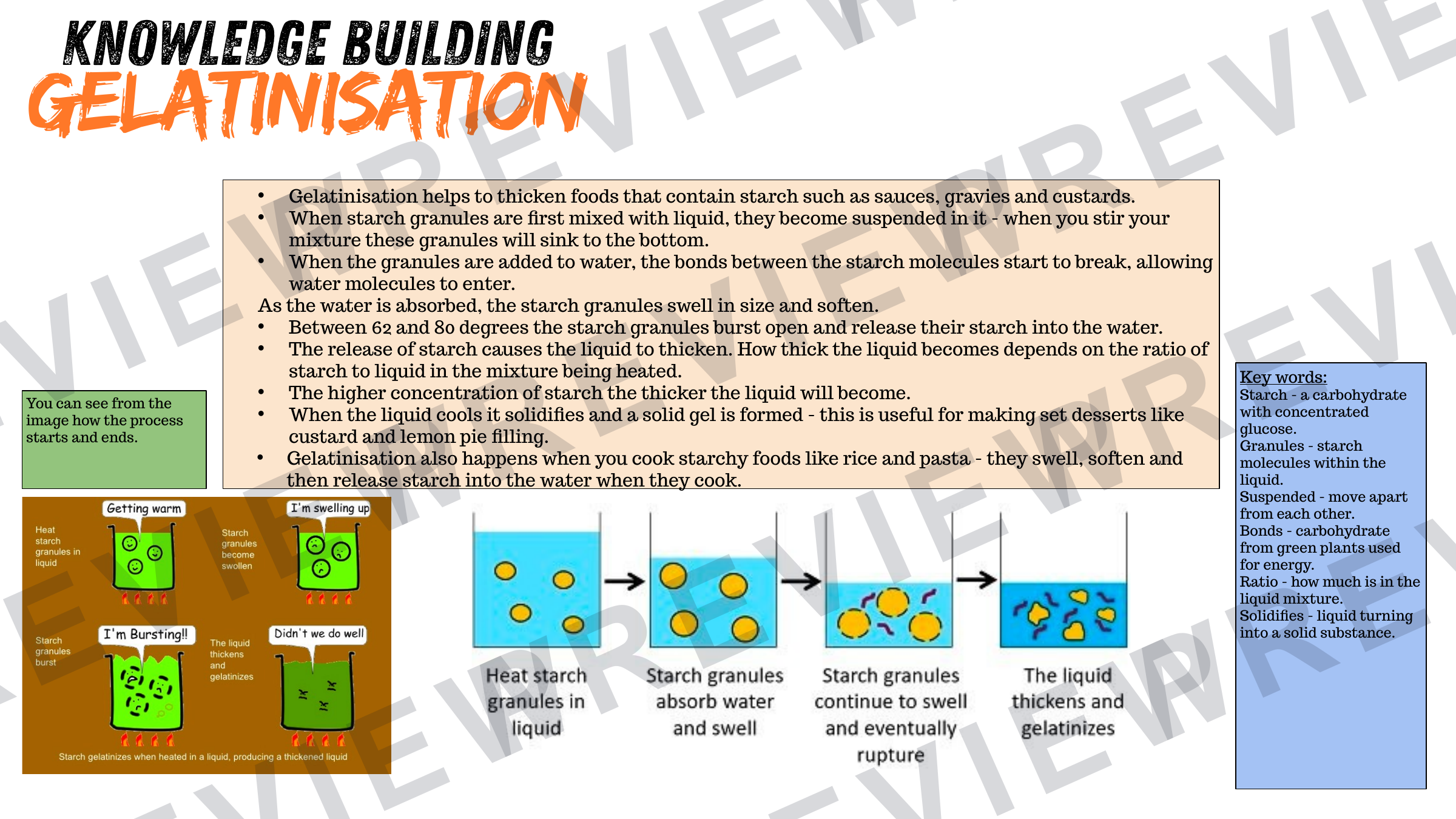 Year 7 healthy eating project part 2 powerpoint   preview page 34