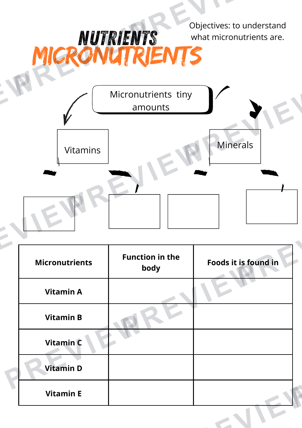 Food technology international cuisine workbook year 8  preview page 5