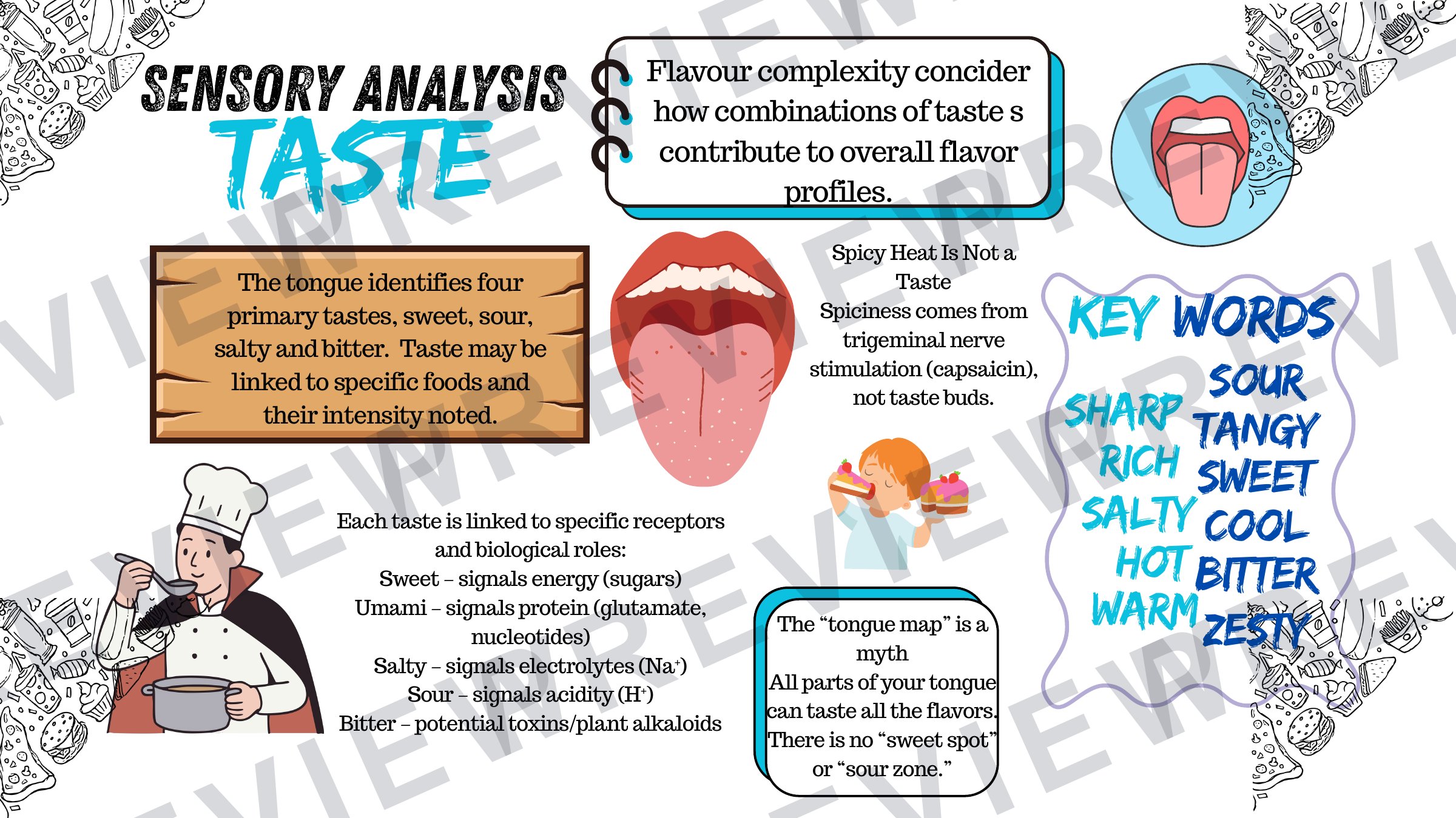 Sensory analysis sheets (posters) powerpoint  preview page 2