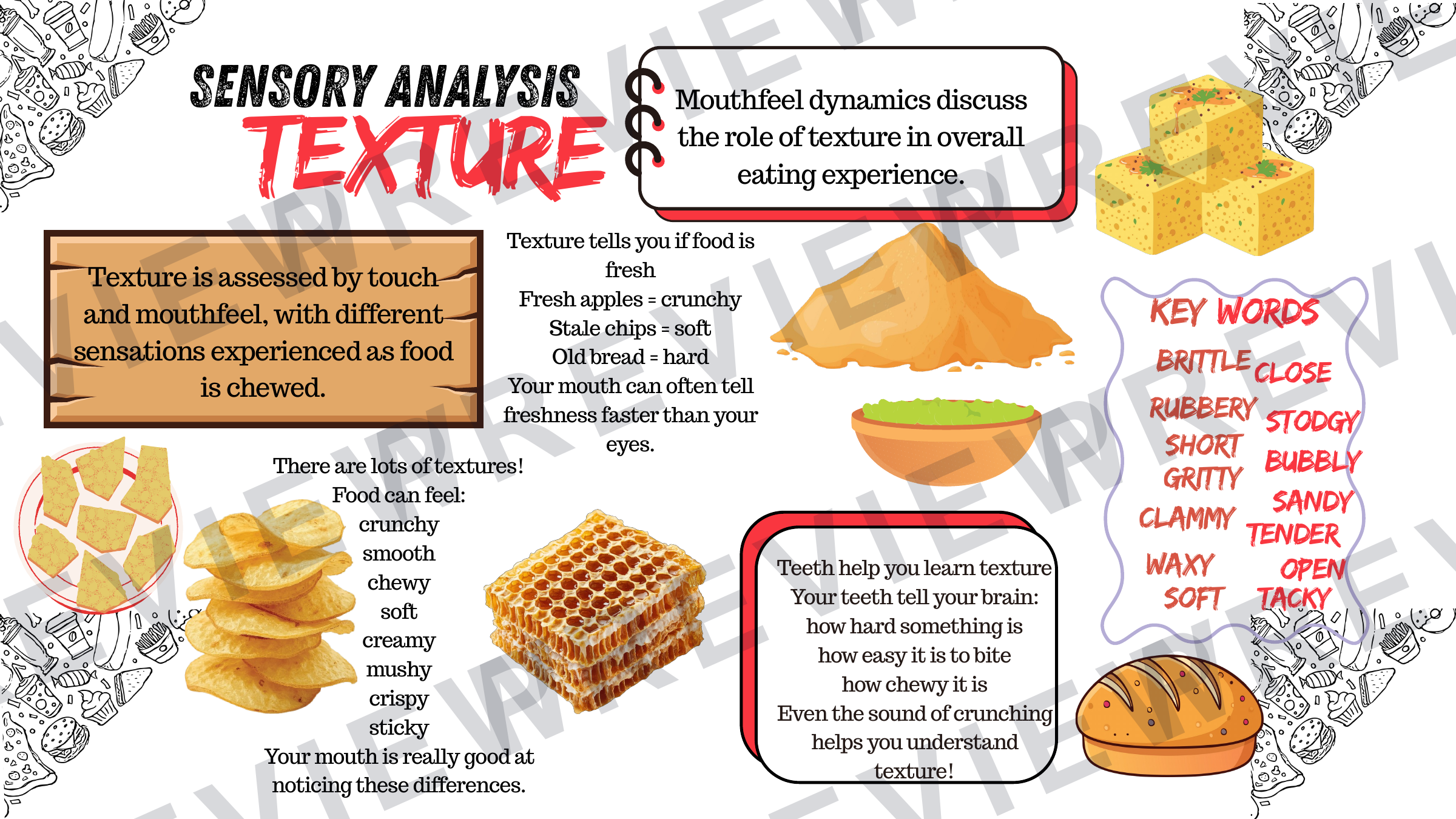Sensory analysis sheets (posters) powerpoint  preview page 4
