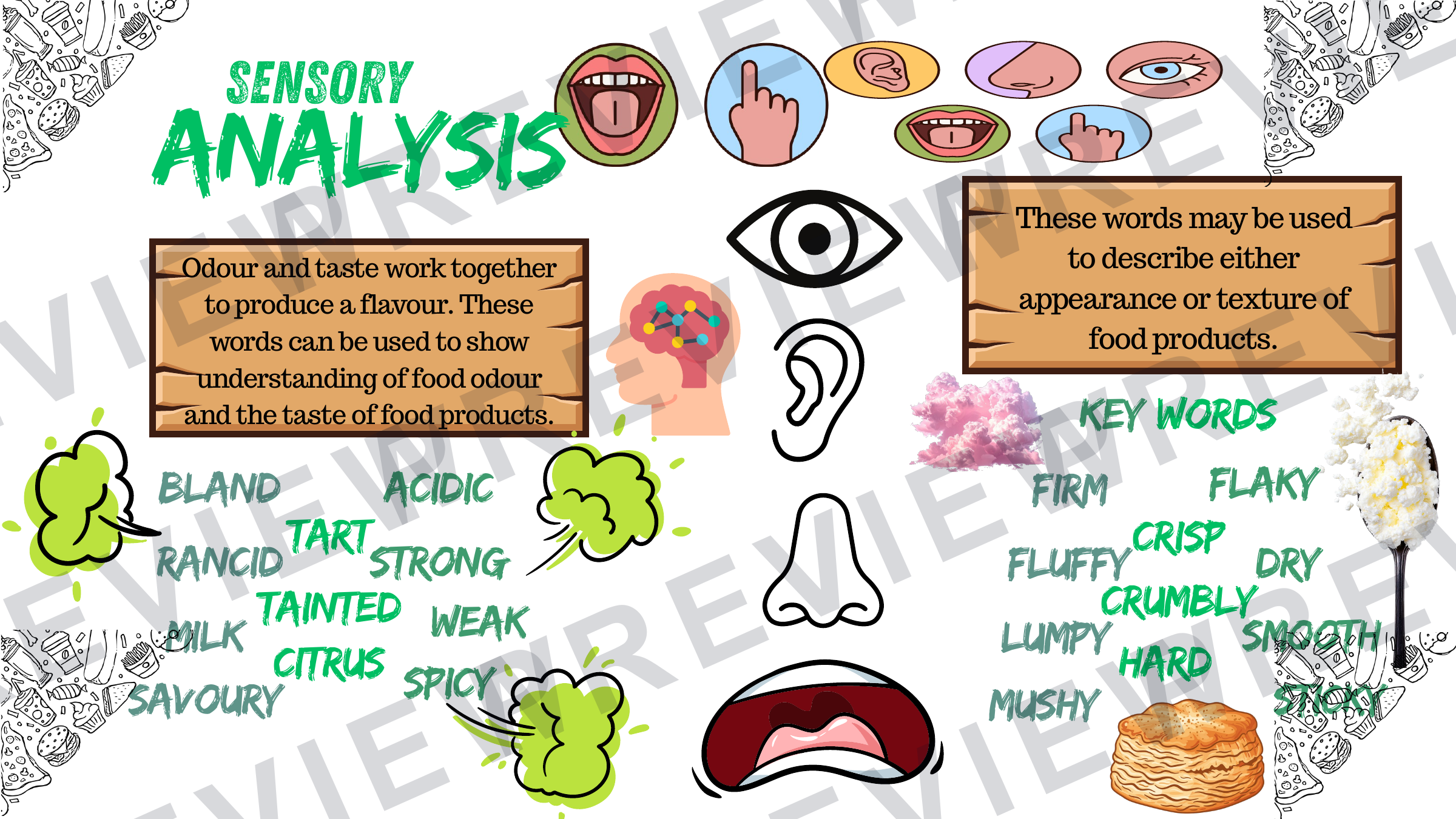 Sensory analysis sheets (posters) powerpoint  preview page 6