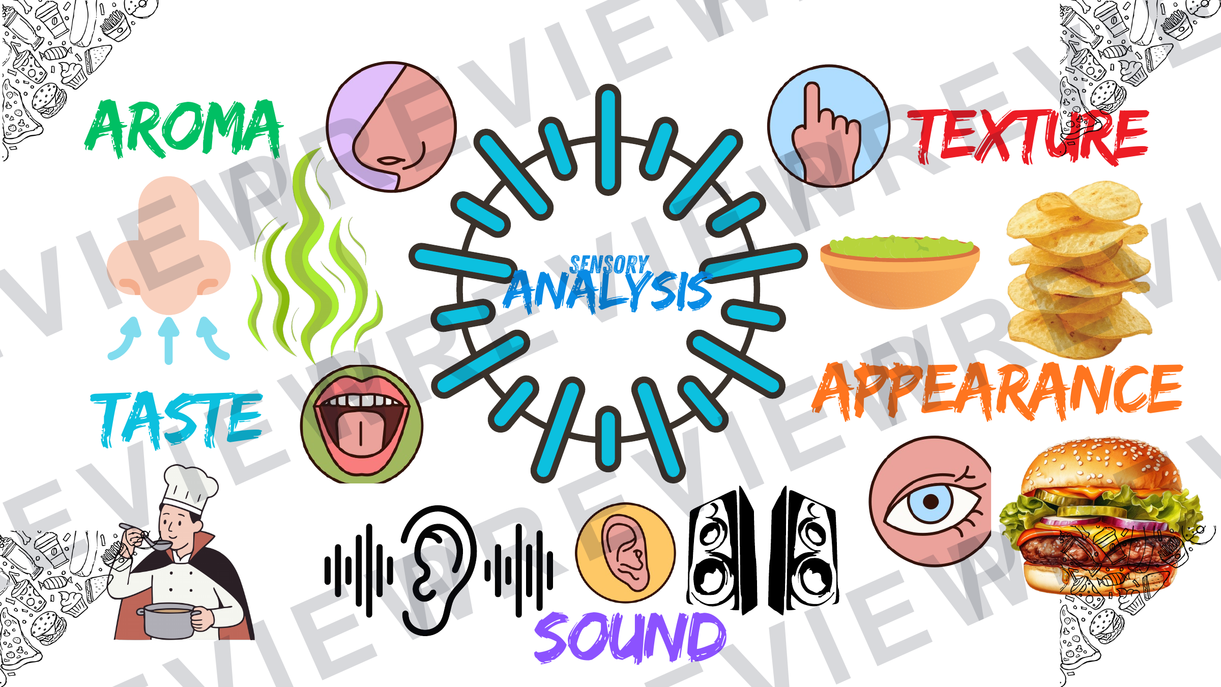 Sensory analysis sheets (posters) powerpoint  preview page 7