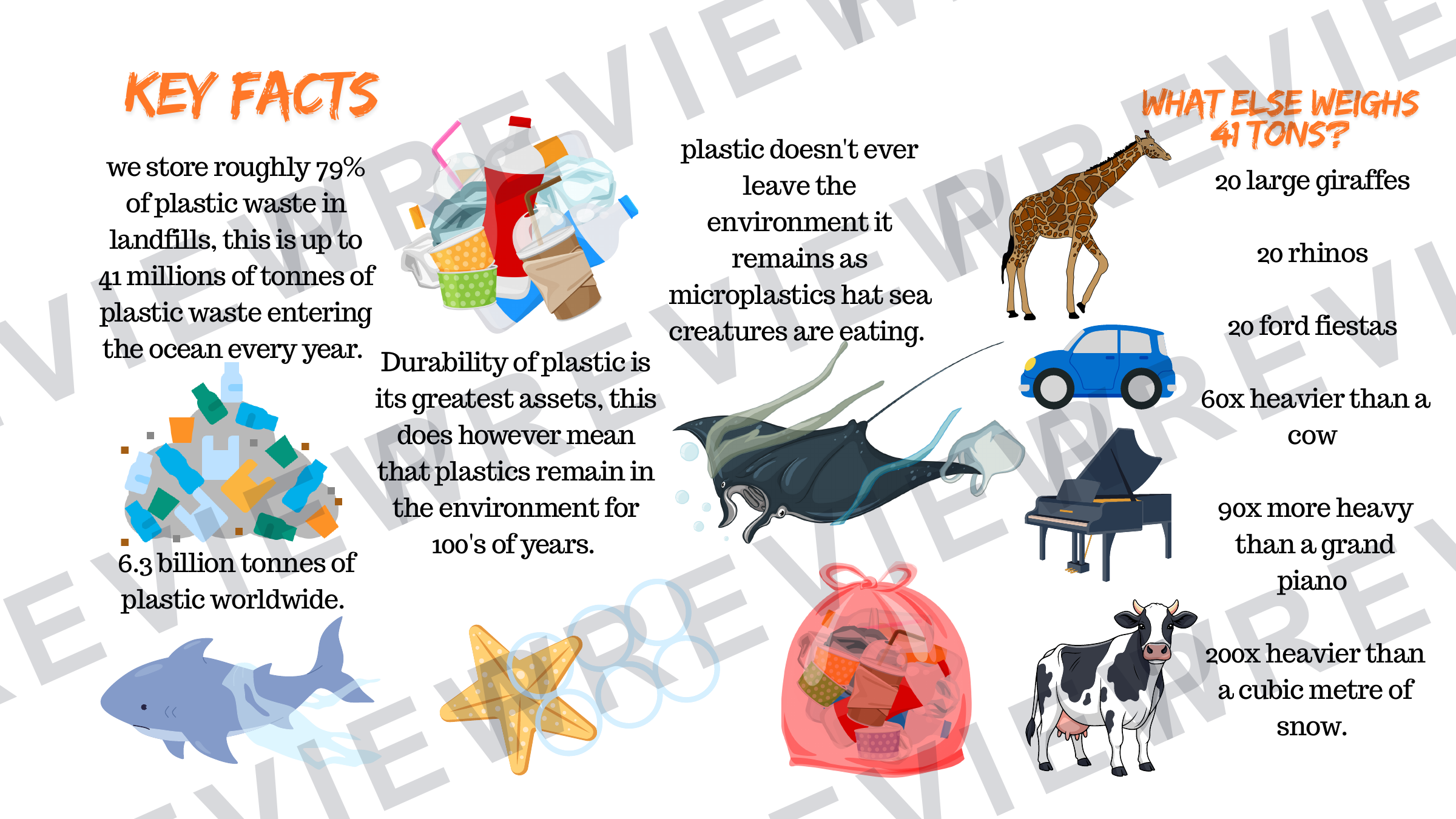 Plastics in the ocean key fact poster KS3  preview page 1