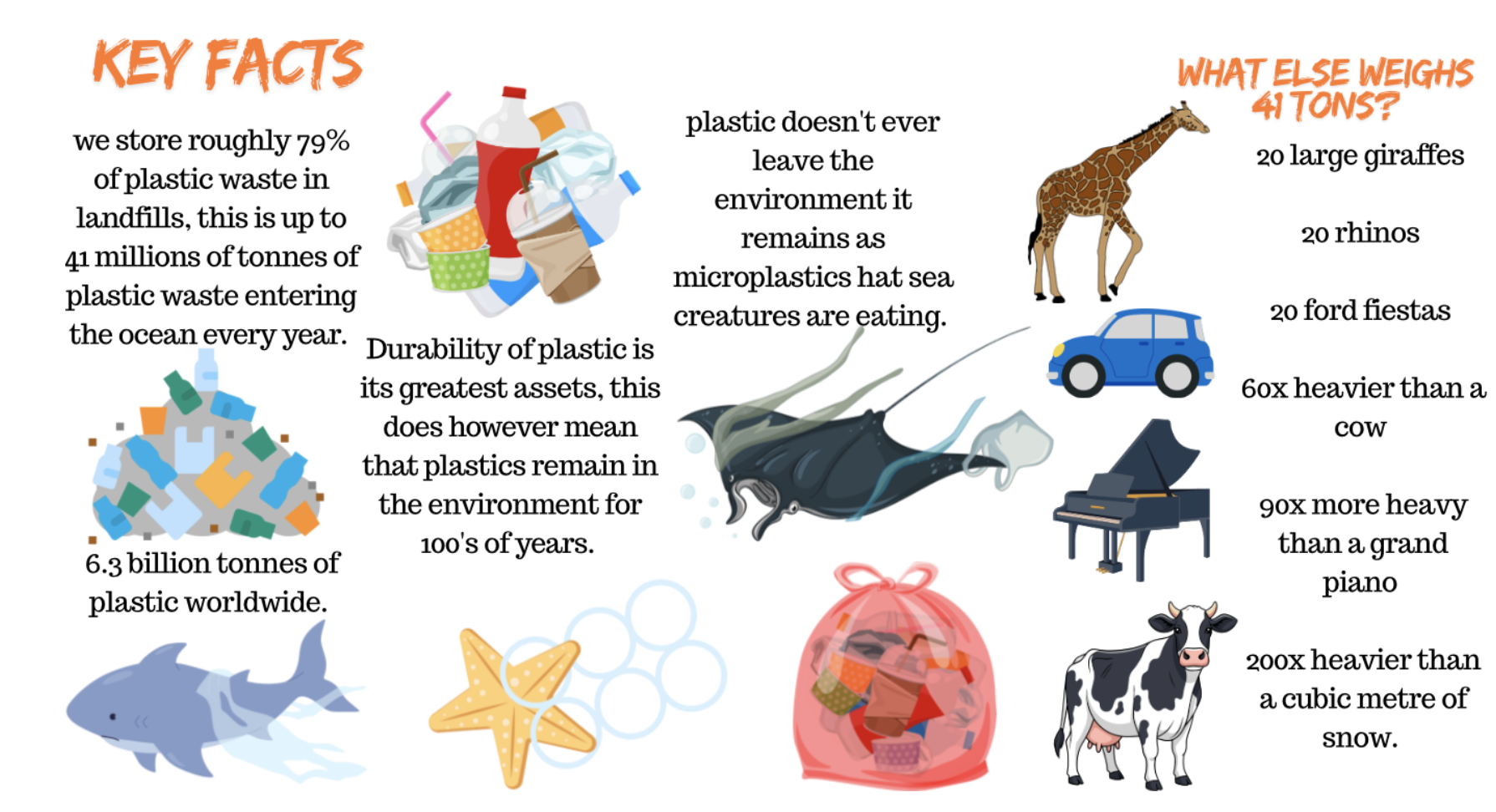 Plastics in the ocean key fact poster KS3 