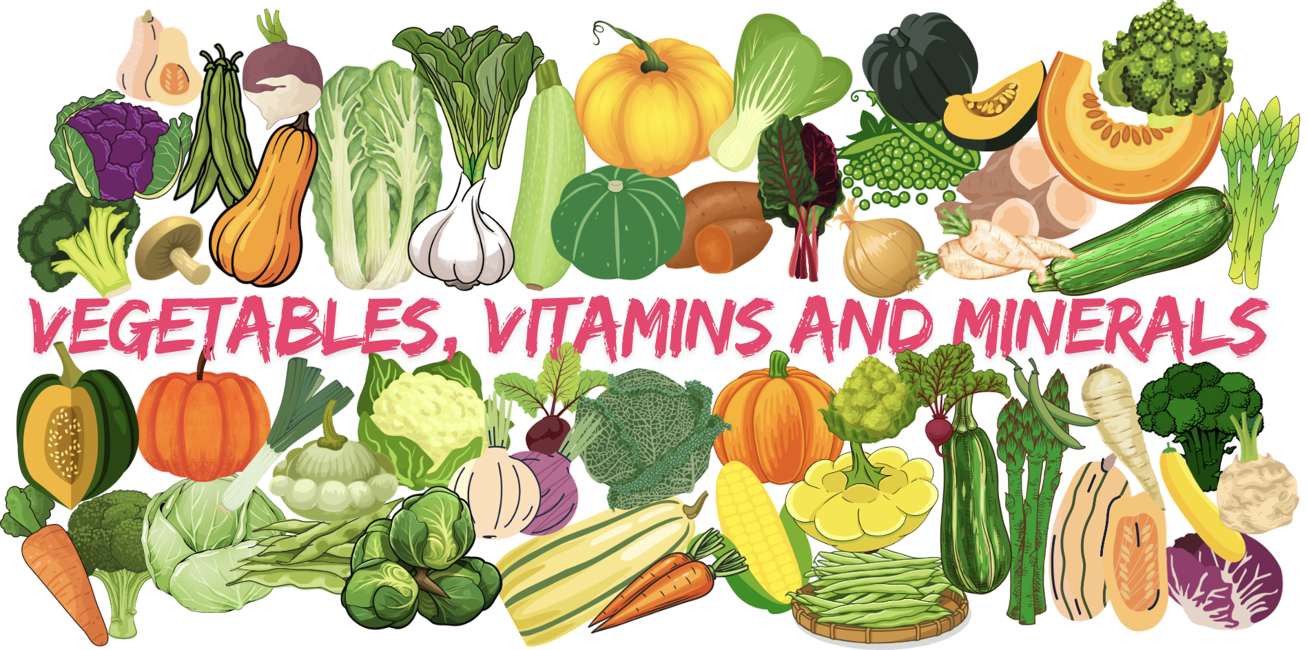 Hospitality Poster Vegetables, vitamins and minerals 